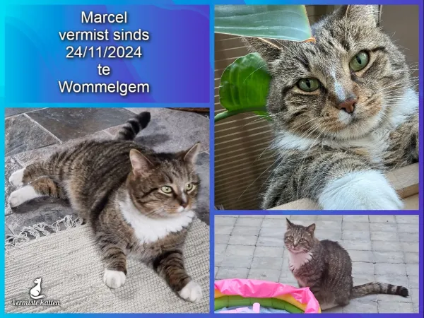 Marcel