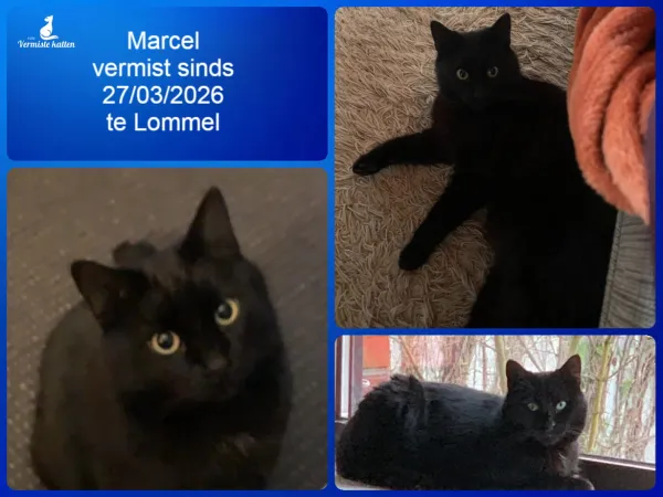 Marcel