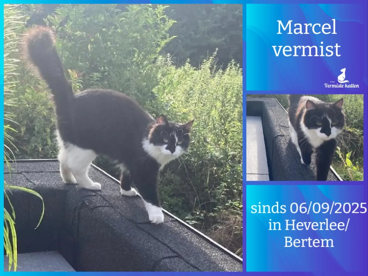 Marcel
