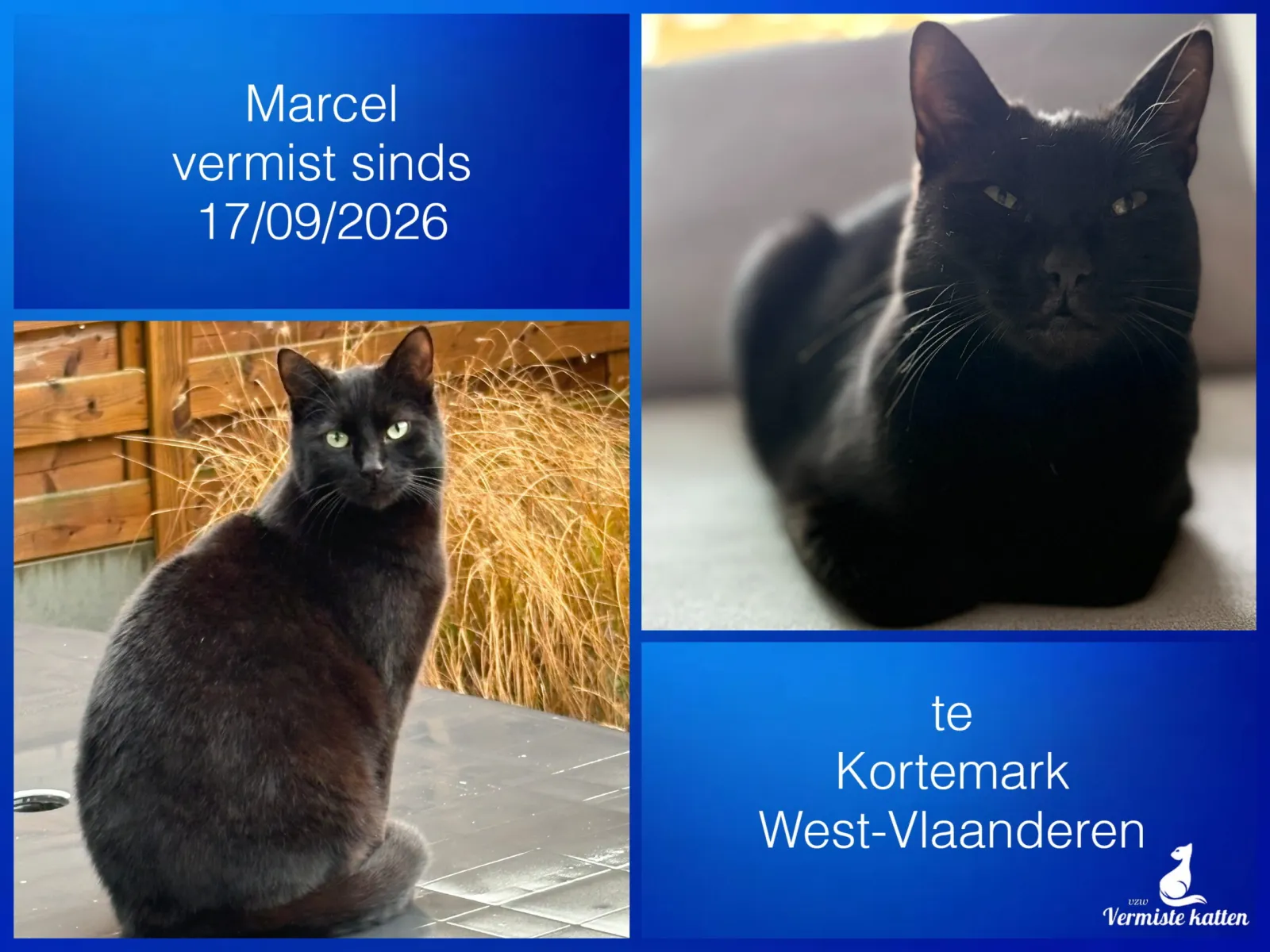 Marcel
