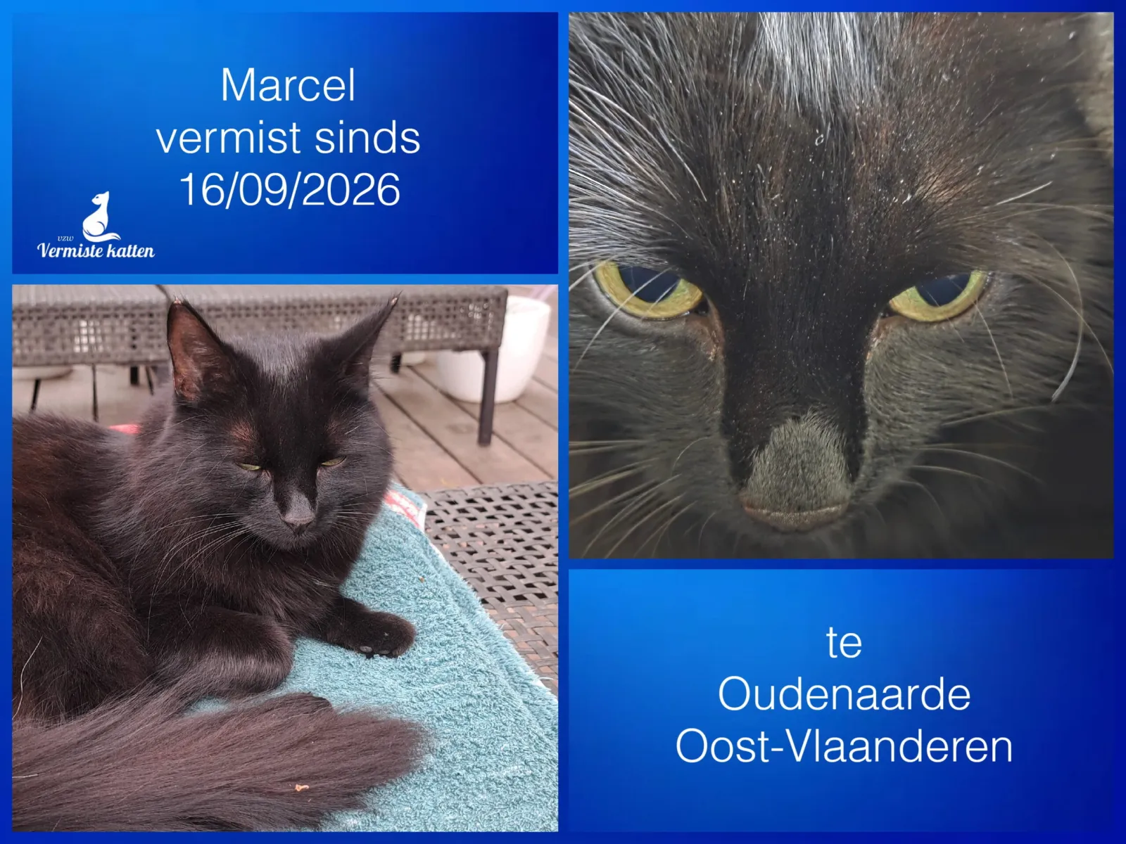 Marcel