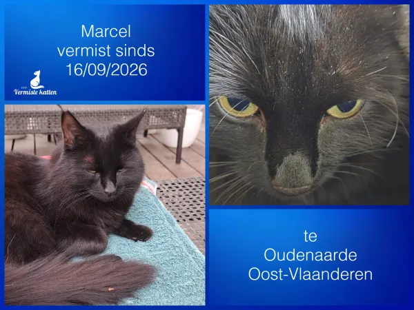 Marcel