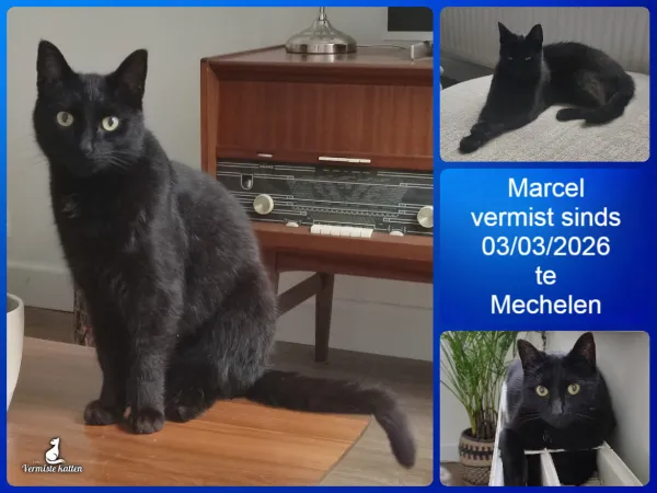 Marcel