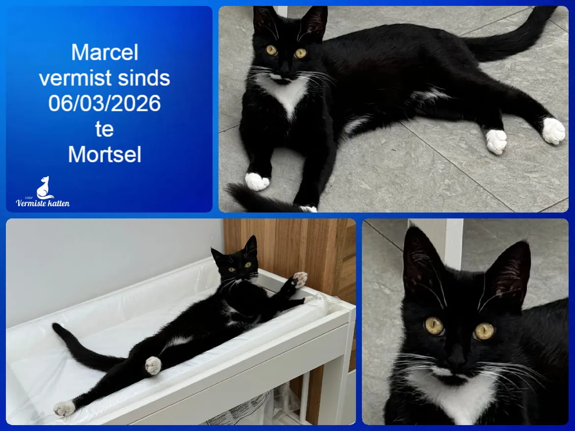 Marcel