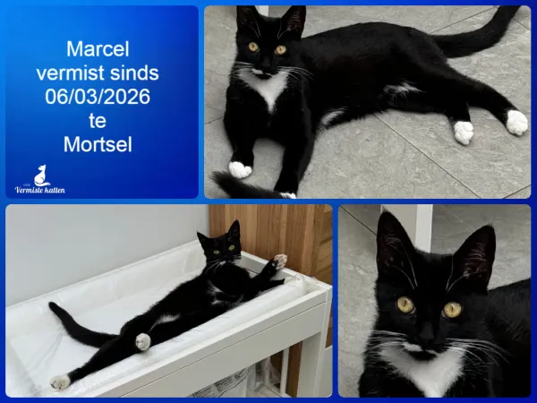 Marcel