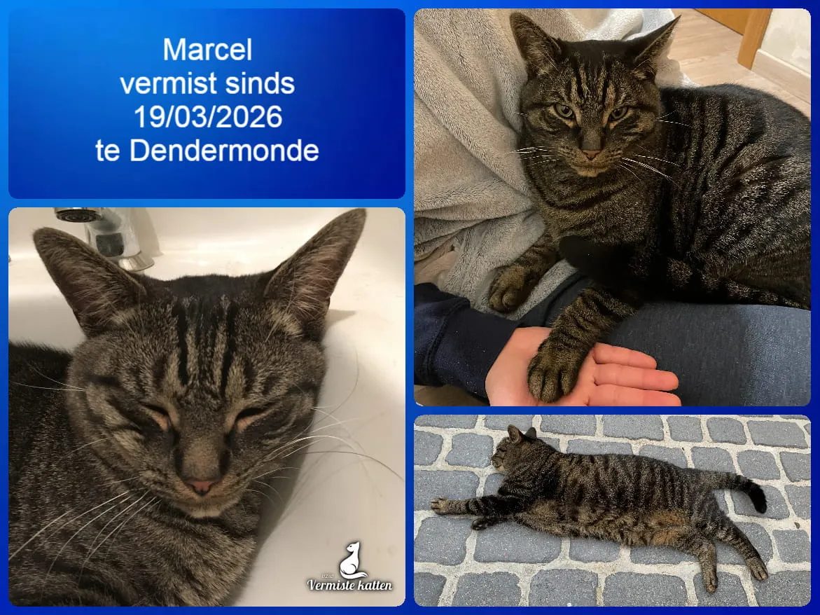 Marcel