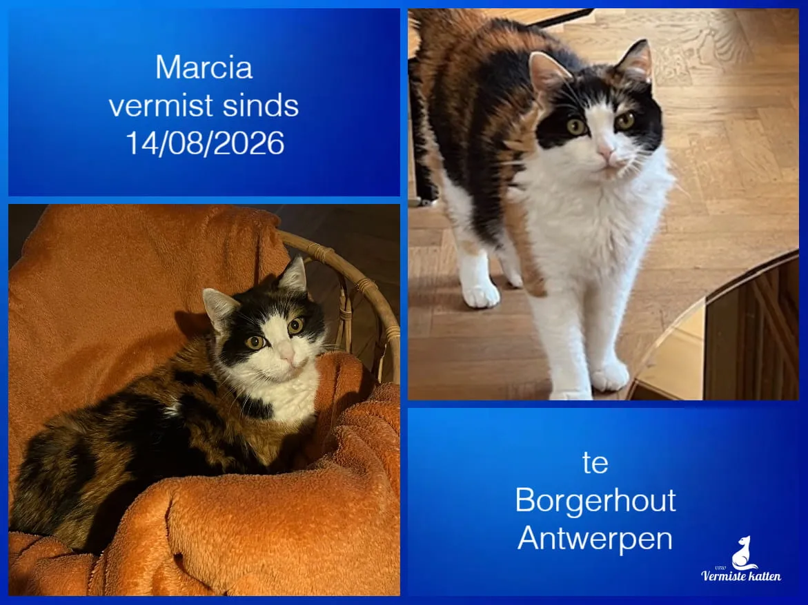 Marcia