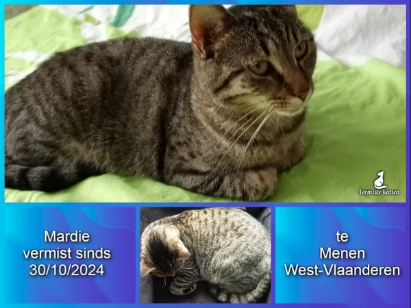 Mardie