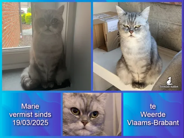 Marie