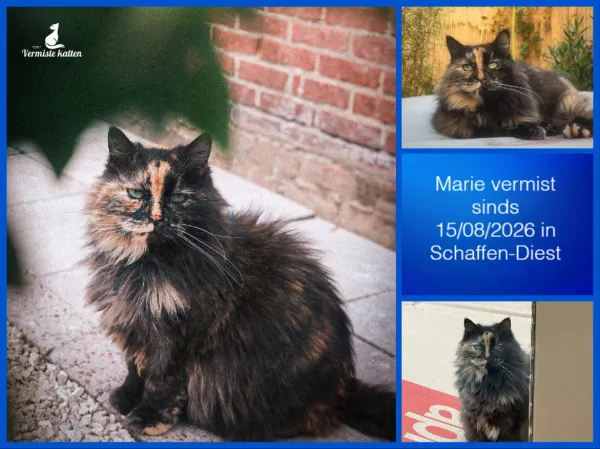 Marie