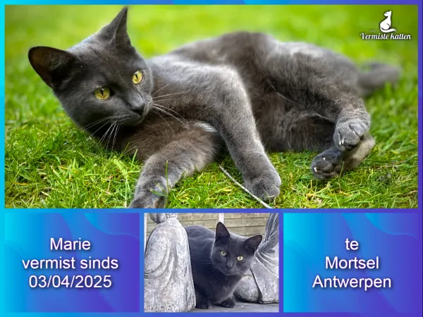 Marie