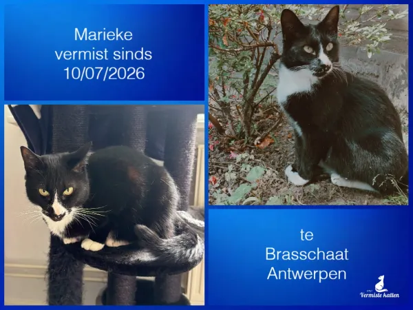 Marieke