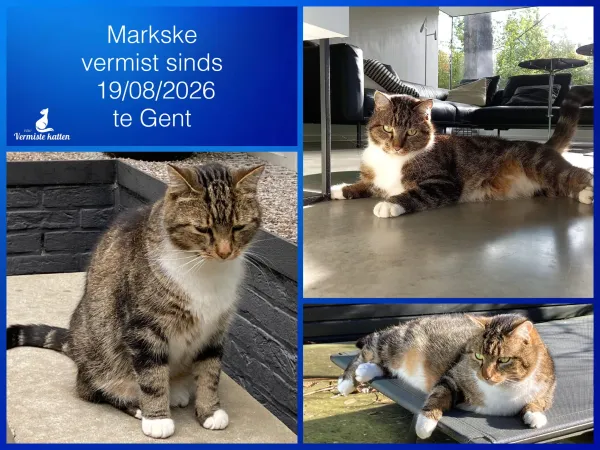 Markske