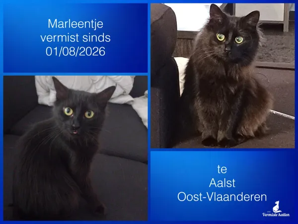 Marleentje