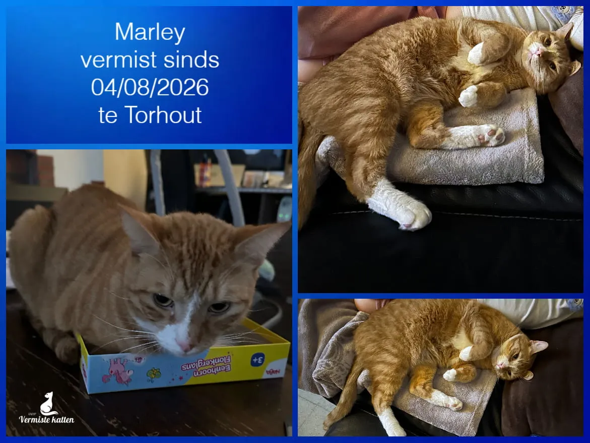 Marley