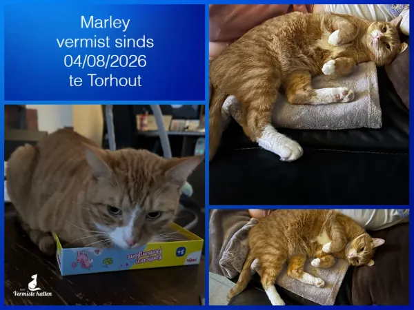 Marley