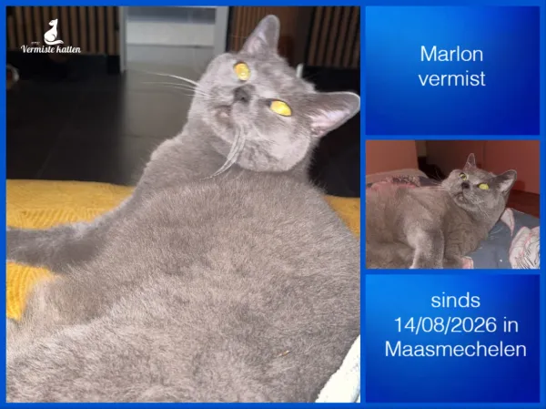 Marlon