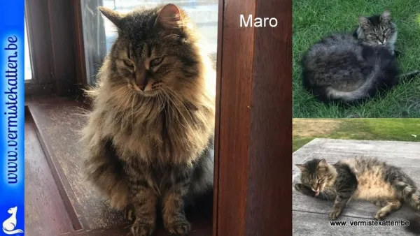 Maro