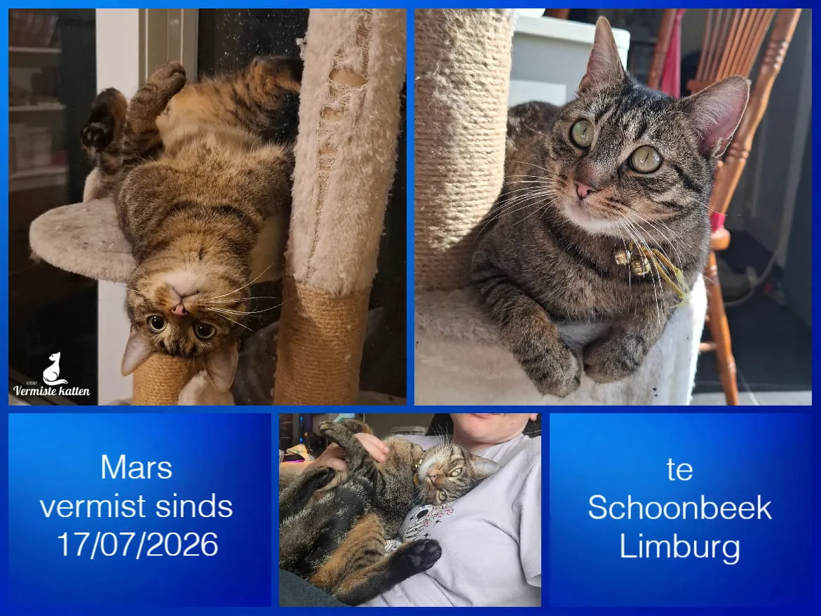 Mars
