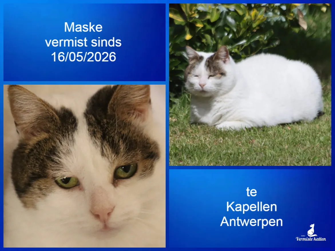 Maske