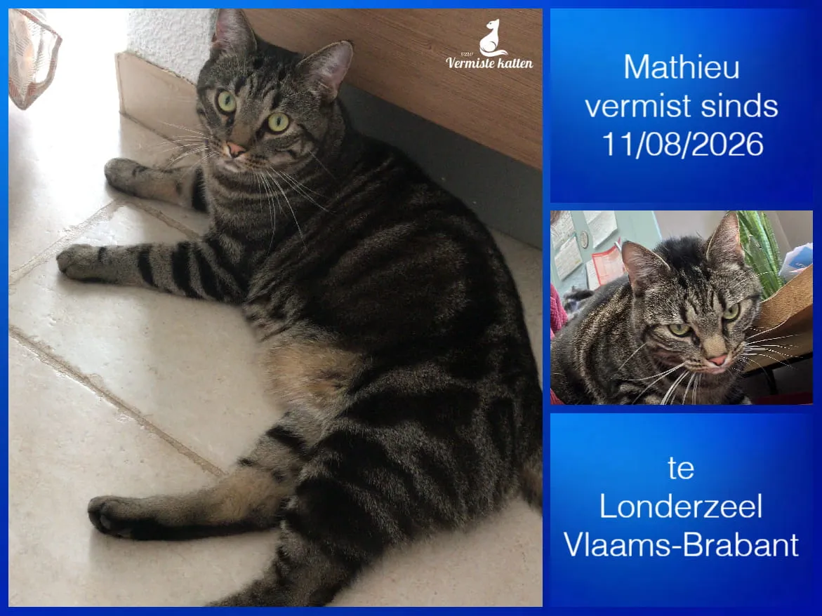 Mathieu