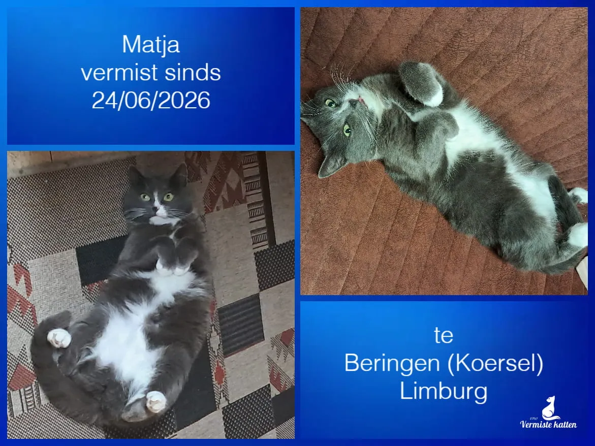 Matja
