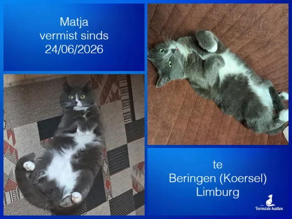 Matja