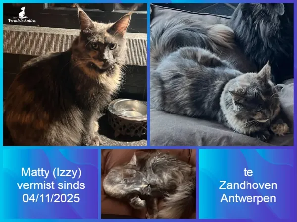 Matty (boekje izzy)