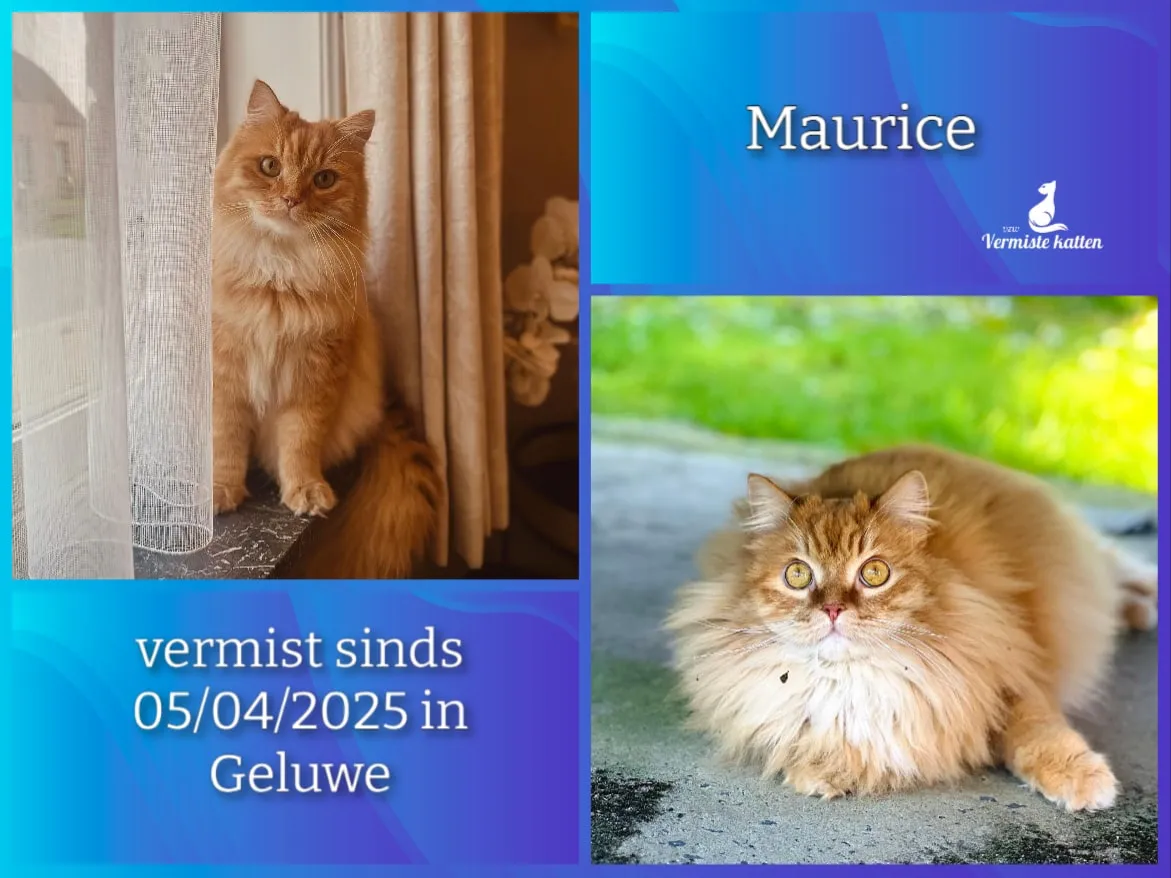 Maurice
