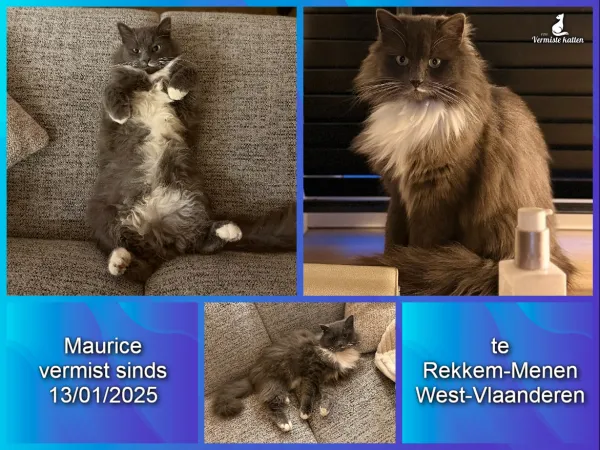 Maurice
