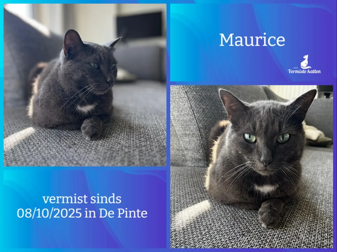 Maurice