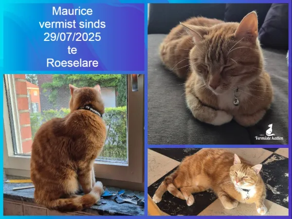 Maurice