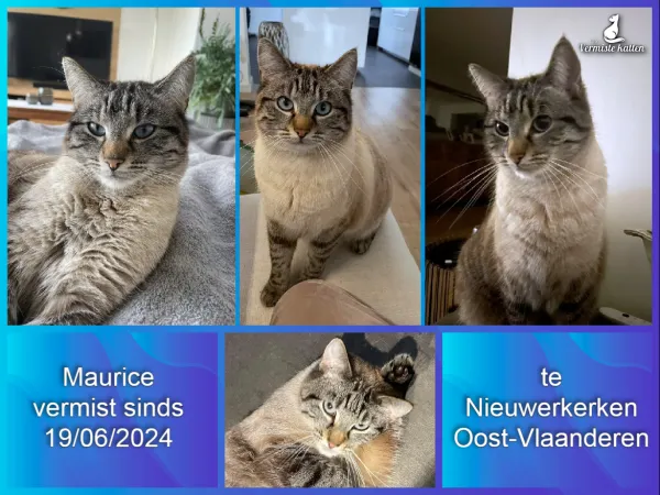 Maurice