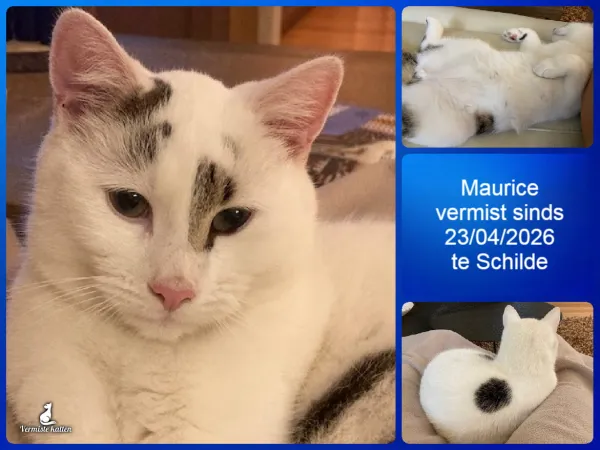 Maurice