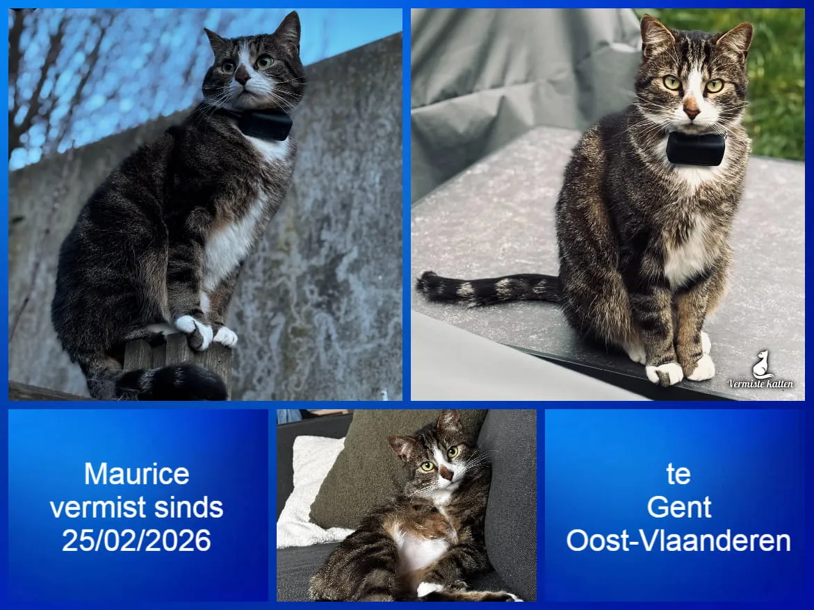 Maurice
