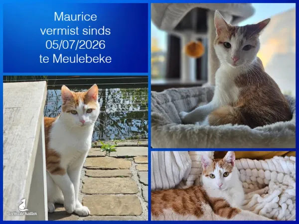 Maurice