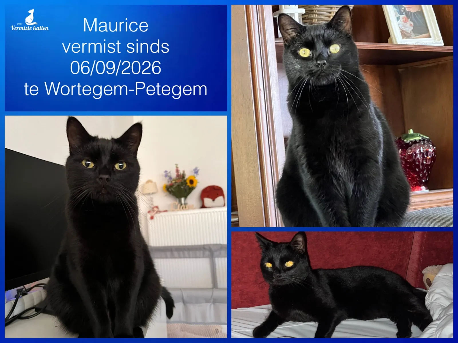 Maurice