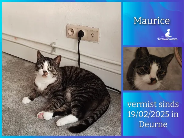 Maurice