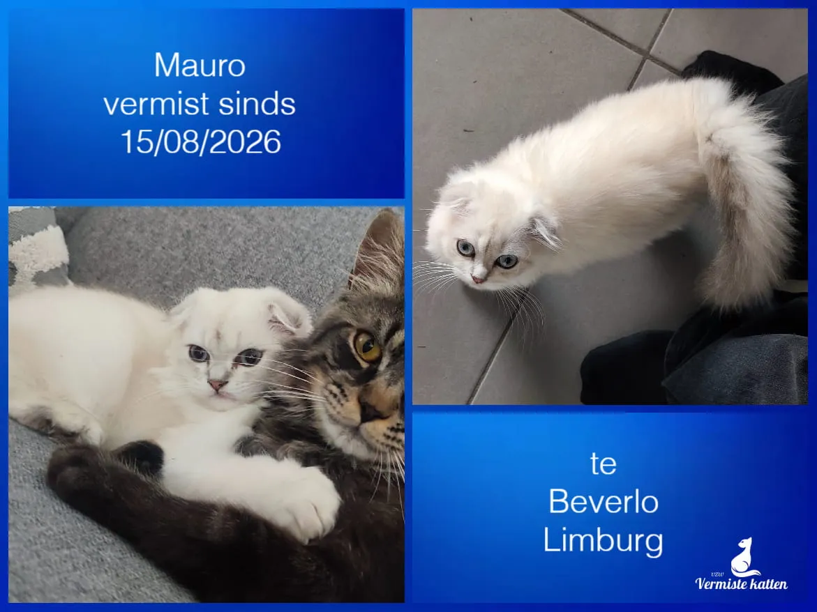 Mauro