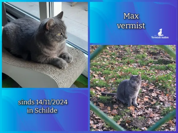 Max