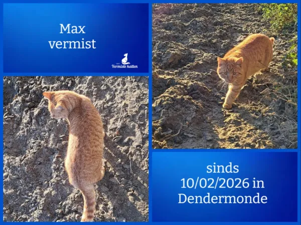 Max