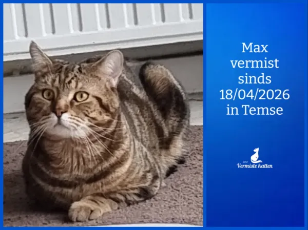 Max