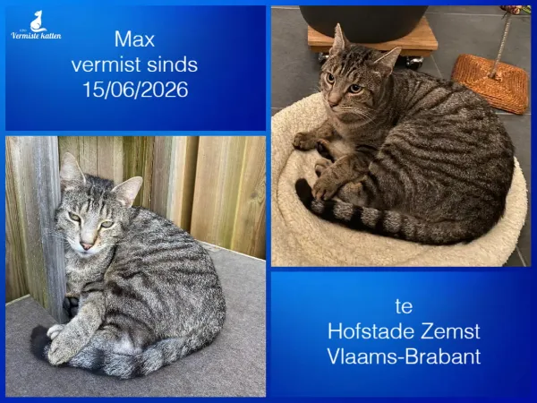 Max