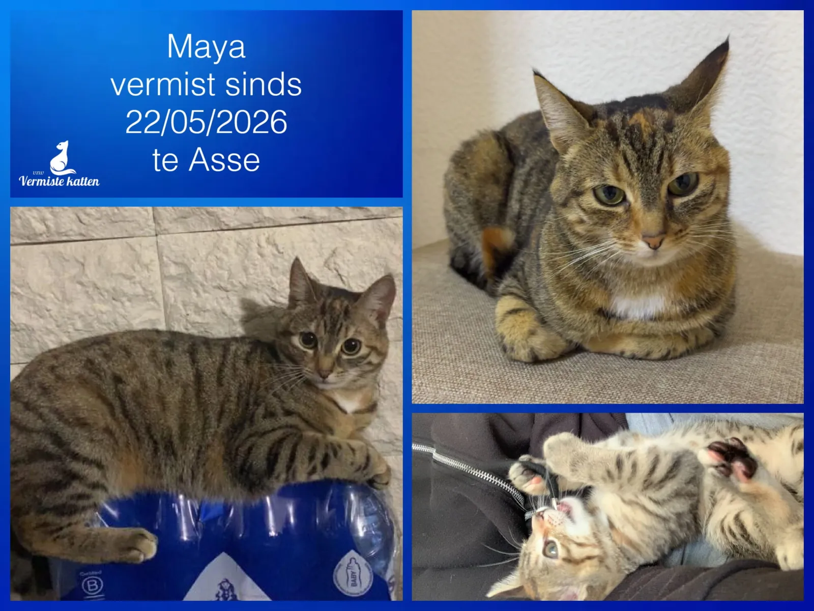 Maya