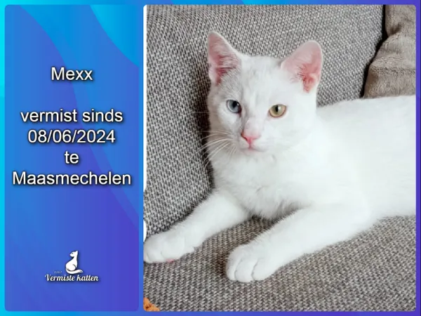 Mexx