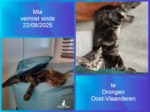 Mia