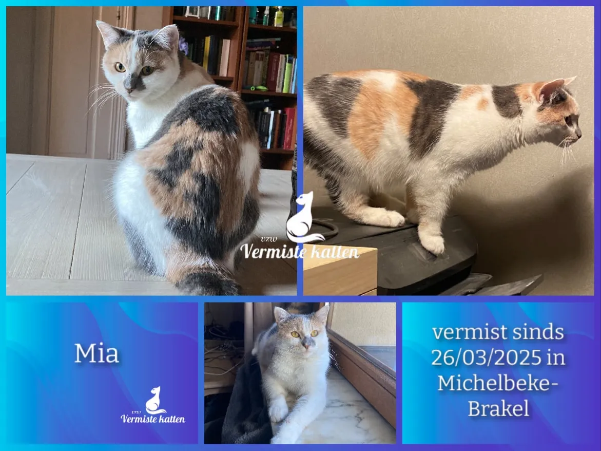 Mia