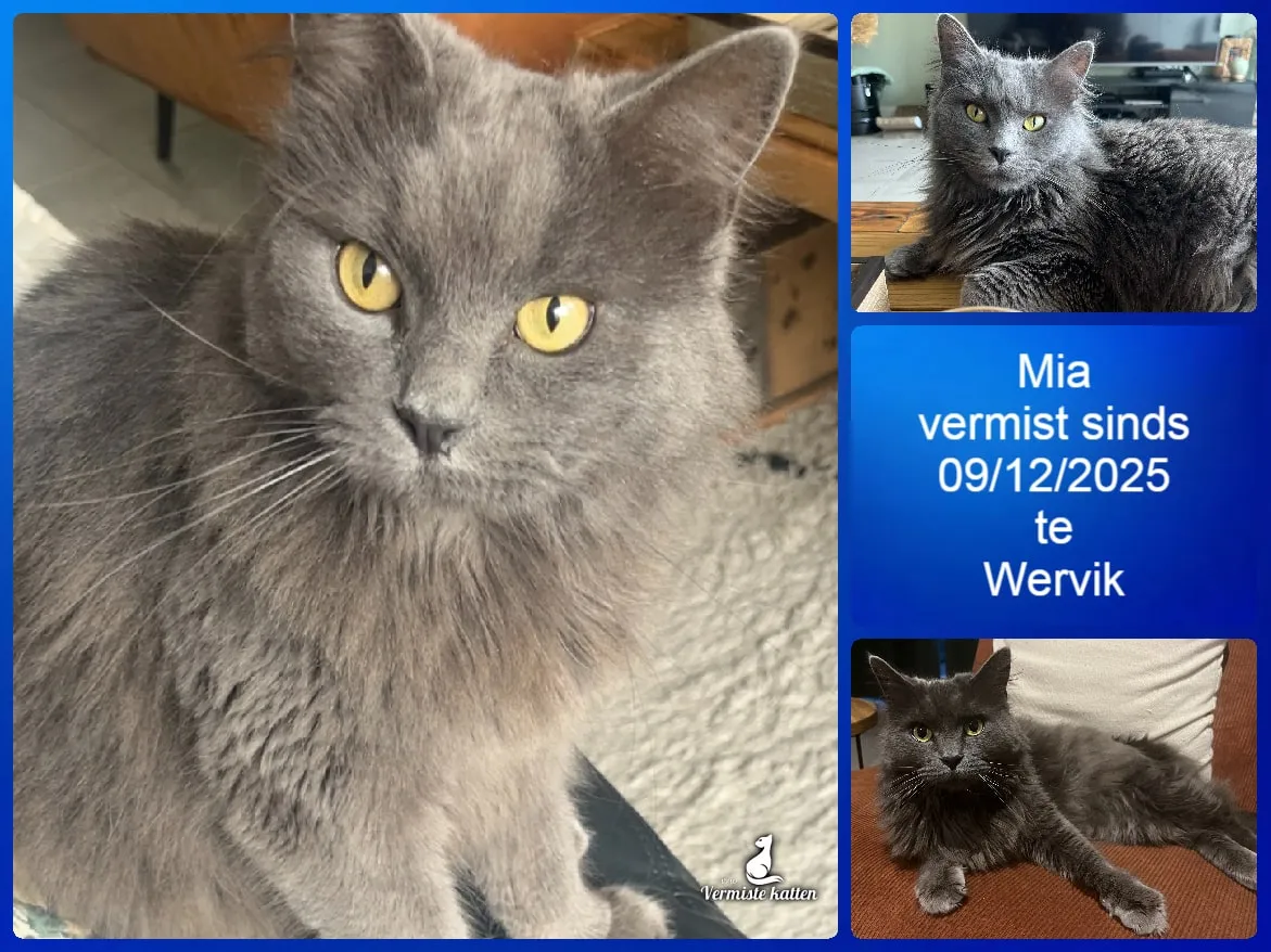 Mia