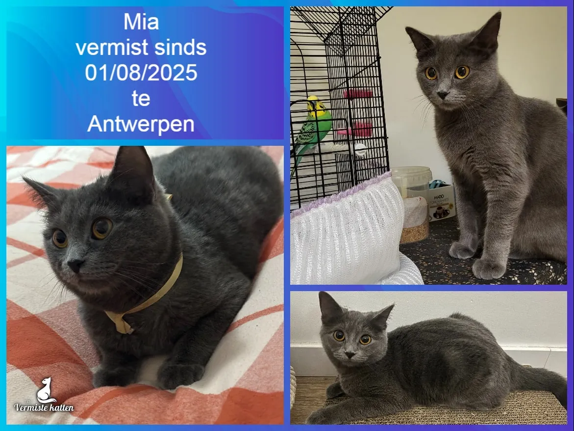 Mia