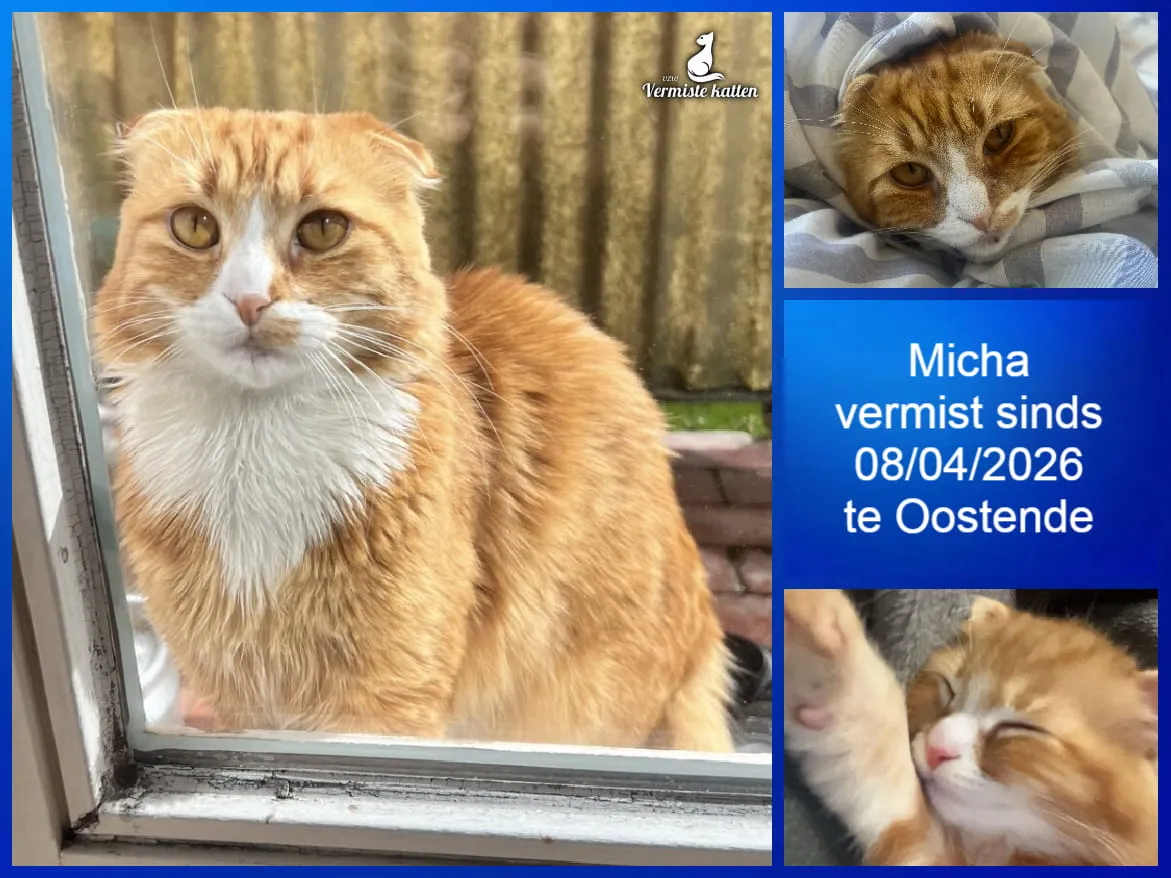 Micha